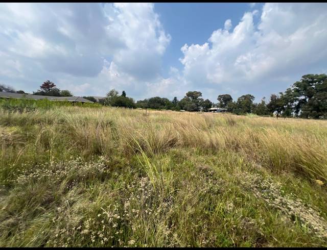 9,913M² VACANT LAND FOR SALE IN DE DEUR